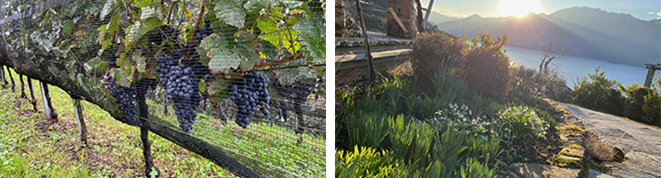 25 deko start 13 14 2025