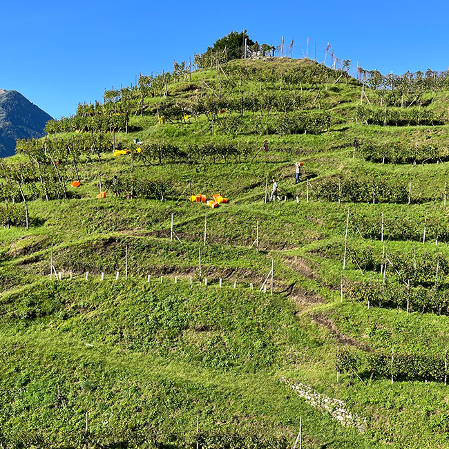 Cantine Stucky-Hügin